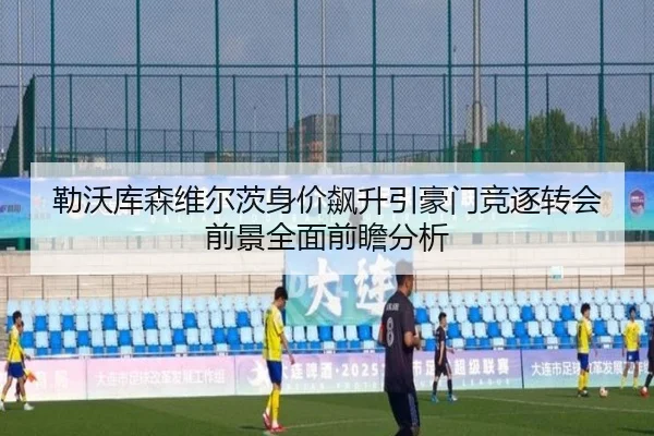 勒沃库森维尔茨身价飙升引豪门竞逐转会前景全面前瞻分析